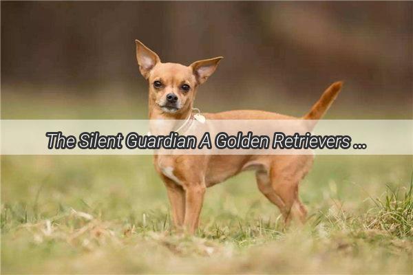 The Silent Guardian A Golden Retrievers Unspoken Tale